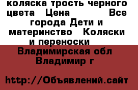 коляска трость черного цвета › Цена ­ 3 500 - Все города Дети и материнство » Коляски и переноски   . Владимирская обл.,Владимир г.